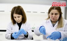 Fındık Araştırma Enstitüsü bu yıl 500 bin samuray arısı üretecek