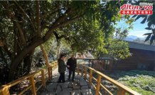 Giresun Valisi Koç, Giresun Adası'nda süren çalışmaları inceledi