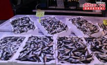 Rize'de istavritin kilogramı 100 liradan satışa sunuldu