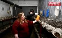 Robot ve insansız hava aracı geliştirirken sebze ve meyve de yetiştiriyorlar