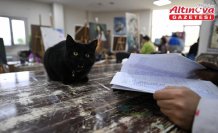 Sevimli kedi “Şükufe“ kursiyerlerin neşe kaynağı oldu