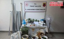 Tokat'ta apartman dairesinde kurulan serada kenevir yetiştiren zanlı tutuklandı