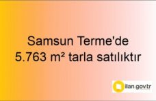 Samsun Terme'de 5.763 m² tarla mahkemeden satılıktır