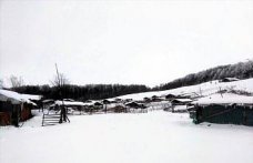 Amasya'nın yüksek kesimlerinde kar etkili oldu