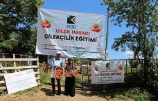 Samsun'da çilek yetiştiriciliği eğitimi düzenlendi