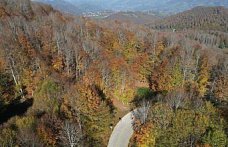 Samsun'daki Nebiyan Dağı sonbahar renklerine büründü