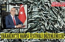 Yakakent'te hamsi festivali düzenlenecek