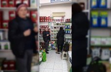 19 Mayıs ilçesinde bayilerde tohumluk denetimi yapıldı