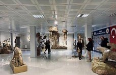 Çankırı'da üniversite öğrencileri atık malzemeleri kullanarak heykel yaptı