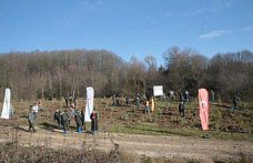 Grand Kartal Otel yangınında hayatını kaybeden 78 kişi anısına hatıra ormanı oluşturuldu