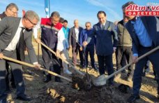 Samsun'da mor patlıcan incirinden sağlanacak gelirle kız öğrencilere burs verilecek