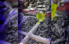 Samsun'da hamsinin kilogramı 150 liradan satılıyor