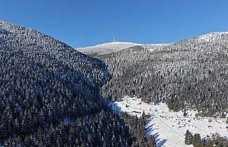 Alaçam'da kar altındaki ormanlar dronla görüntülendi