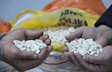 Tescilli Gürgentepe çoban fasulyesinde 'alım garantili üretim' modeli uygulandı