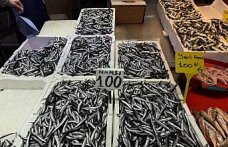 Trabzon'da hamsi ve istavrit 100 liradan satılıyor