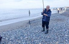 Yakakent'te kafesten kaçan balıklar amatör balıkçıların yüzünü güldürdü