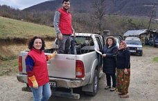 19 Mayıs ilçesinde kestane üretimini artırmak için çalışma yürütülüyor
