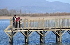 Efteni Gölü Kuş Cenneti hafta sonu doğaseverleri ağırladı