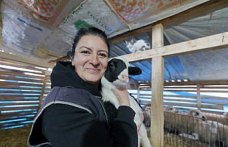 Şehir hayatından sıkılıp köyüne dönen kadın hayvancılığa başladı