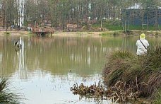 Yapılan yatırımlar Korugöl Tabiat Parkı'nı doğaseverlerin gözdesi haline getirdi