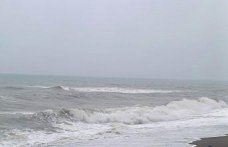 Akçakoca'da kuvvetli rüzgar etkili oldu