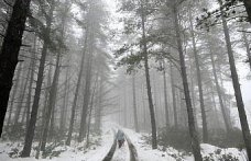 Düzce'nin yüksek kesimlerinde kar etkili oldu