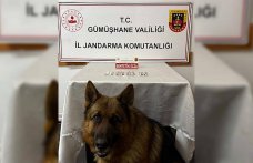 Gümüşhane'deki uyuşturucu operasyonunda 2 şüpheli yakalandı