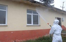 Samsun'da “kahverengi kokarca“ ile mücadele ediliyor