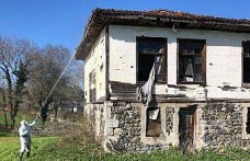 Bafra'da kahverengi kokarca zararlısına karşı kışlak ilaçlama çalışması yapılıyor