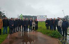 Terme'de hatıra ormanında fidan dikim etkinliği düzenlendi