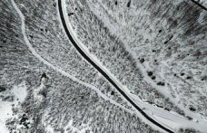 Tokat, Kastamonu ve Sinop'ta 117 köy yolu ulaşıma kapandı