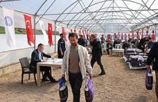 Vezirköprü'de çiftçilere yonca tohumu desteği