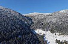 Alaçam'da kar altındaki ormanlar dronla görüntülendi