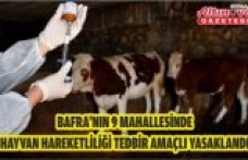 Bafra'nın 9 mahallesinde hayvan hareketliliği tedbir amaçlı yasaklandı