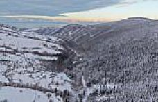 Alaçam'da karla kaplanan ormanlar dronla görüntülendi