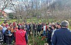 19 Mayıs ilçesinde fındık budama eğitimi verildi
