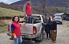 19 Mayıs ilçesinde kestane üretimini artırmak için çalışma yürütülüyor