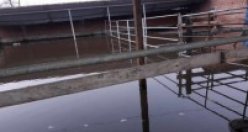 KÖYLÜLERİN TABAN SUYU ÇİLESİ