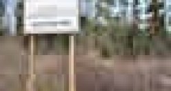 BÜYÜKŞEHİR BELEDİYESİ EŞSİZ GÜZELLİĞİ GÜN YÜZÜNE ÇIKARDI