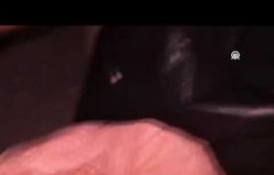 19 Mayıs'ta ahıra saklanan 53 bin 872 sentetik ecza hapı ele geçirildi