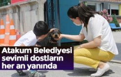 Atakum Belediyesi sevimli dostların her an yanında
