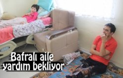 Atakum Belediyesi kendi ürettiği çiçeklerle parkları renklendiriyor