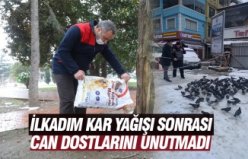 İLKADIM KAR YAĞIŞI SONRASI  CAN DOSTLARINI UNUTMADI