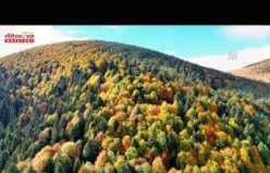 Alaçam'da sonbahar doğaya hakim oluyor