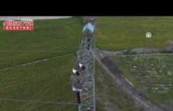 Alaçam'da yüksek gerilim hattına yuva yapan leylekler görüntülendi