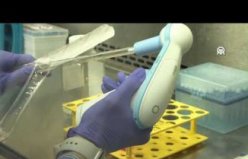 ALS hastalığında genetik temelli yeni tedavi stratejisi üzerinde çalışılıyor