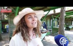 Bafra'da “8. Ot Yemekleri Festivali“ başladı