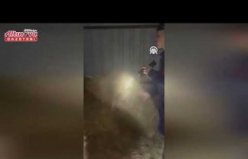 Bafra'da çarptığı yayayı darbeden motosiklet sürücüsü tutuklandı