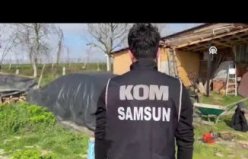 Bafra'da gümrük kaçağı iki otomobil bulundu