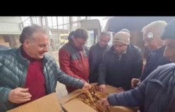 Bafra'da tütün alımları başladı